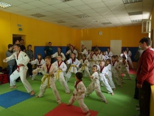 тхэквондо в спб